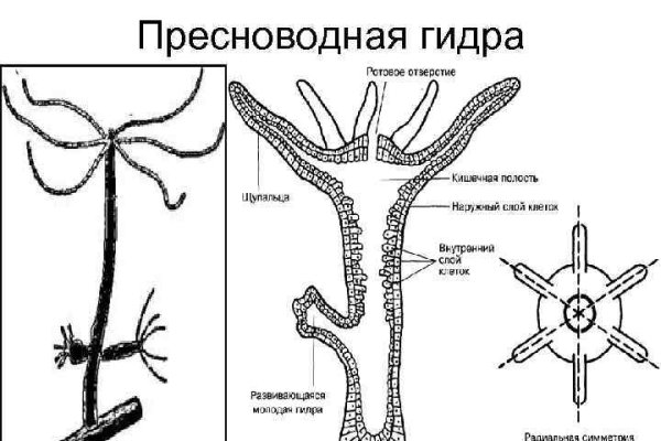 Ссылка кракен онион